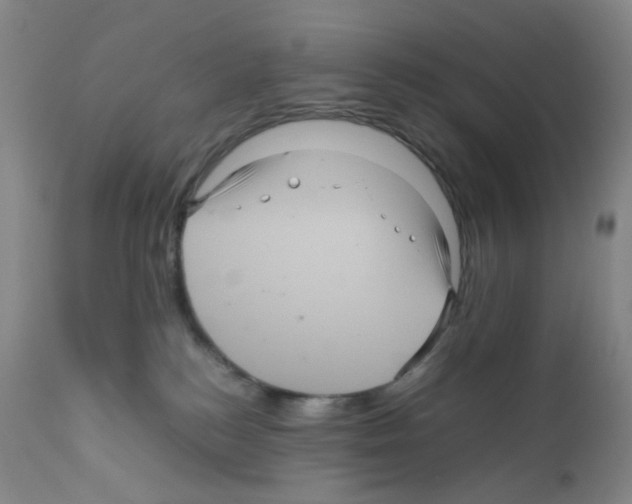 X0000111840184200909031712