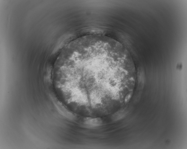 X0000111840185200909031712