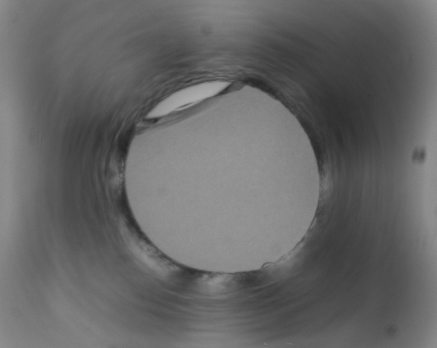 X0000111840186200909031712