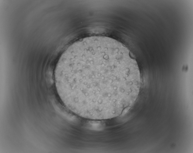 X0000111840187200909031712