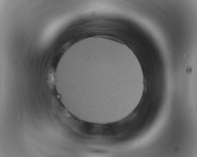 X0000111840190200909031712