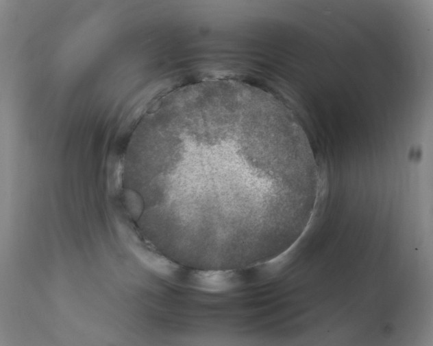 X0000111840191200909031712