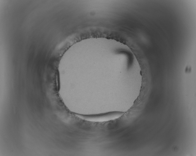 X0000111840192200909031712