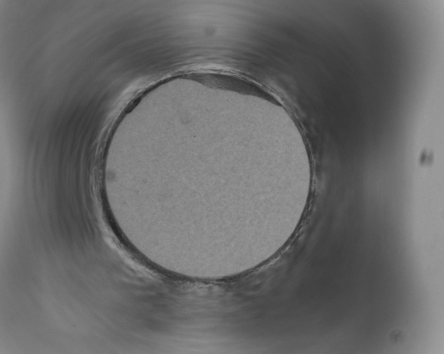 X0000111840193200909031712