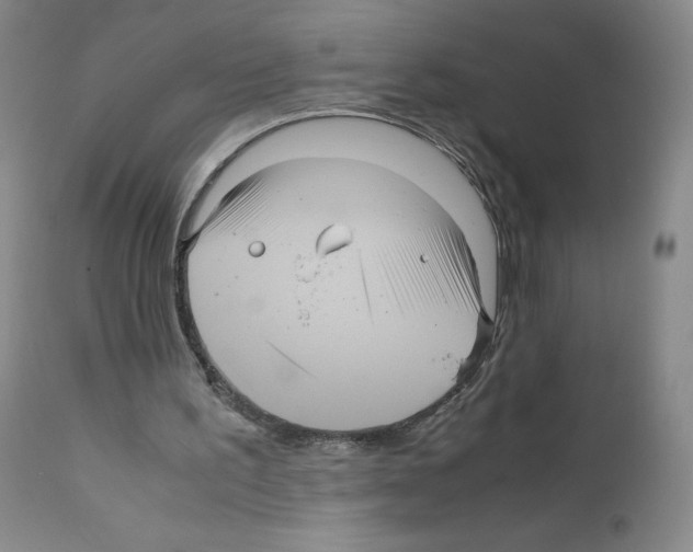 X0000111840195200909031712