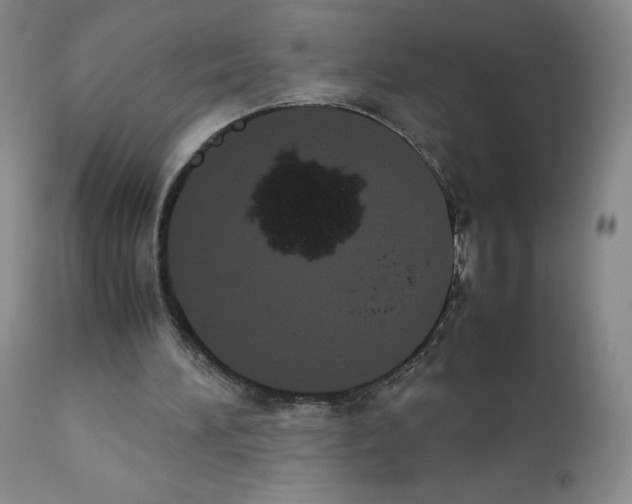 X0000111840196200909031712