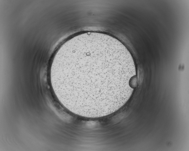 X0000111840204200909031712