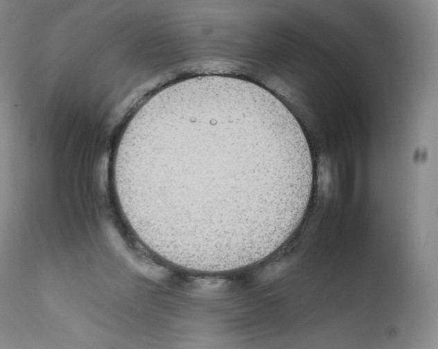 X0000111840206200909031712