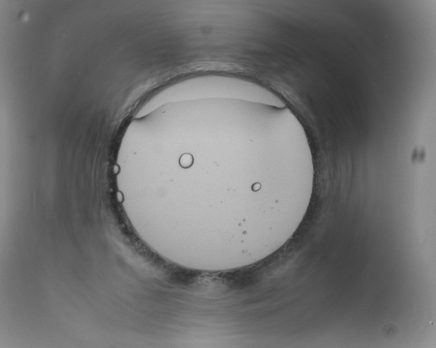 X0000111840207200909031712