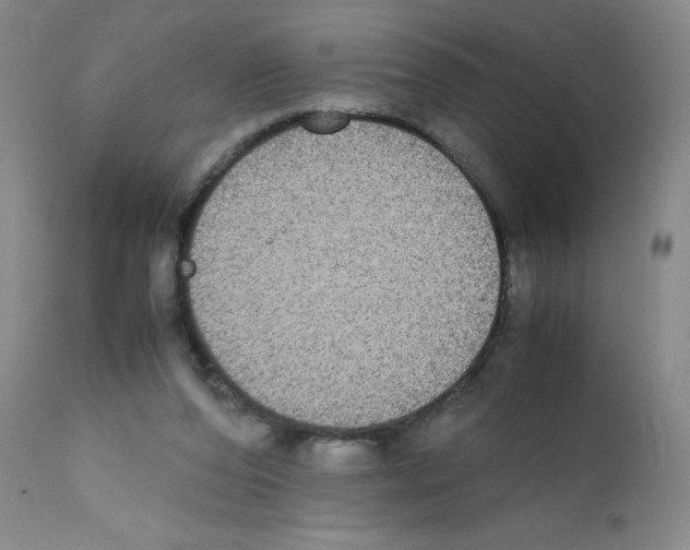 X0000111840208200909031712