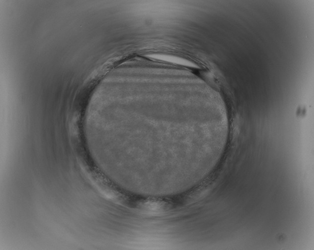 X0000111840209200909031712