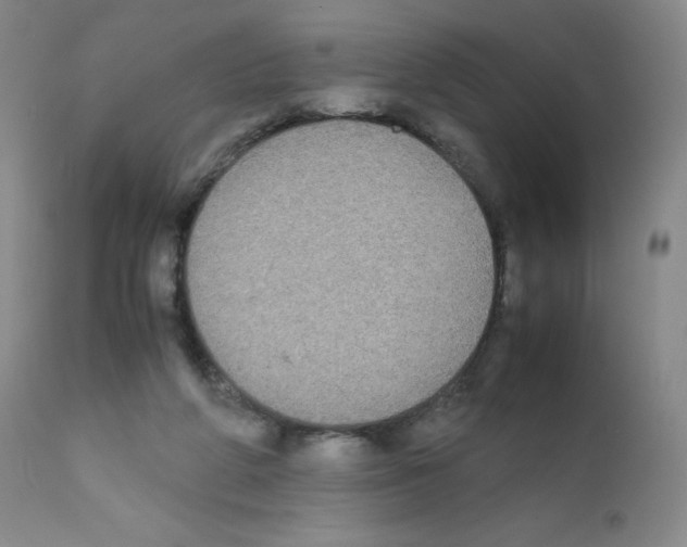 X0000111840210200909031712