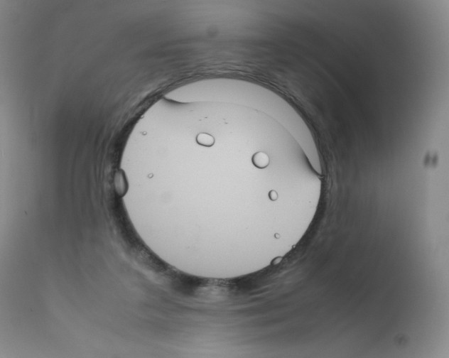 X0000111840211200909031712