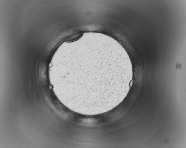 X0000111840212200909031712