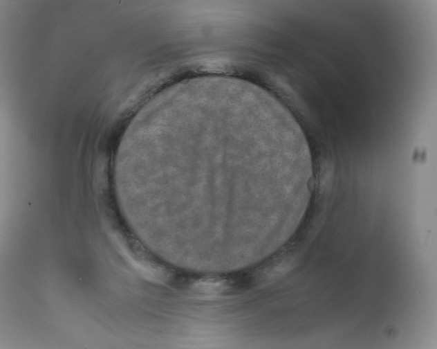 X0000111840213200909031712