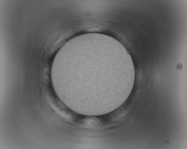 X0000111840215200909031712