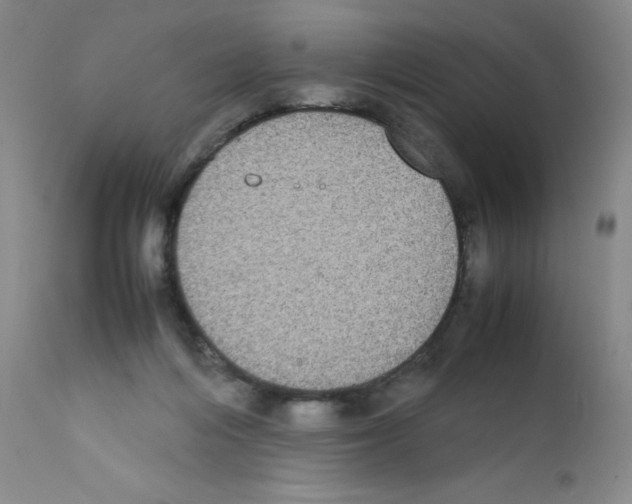 X0000111840216200909031711