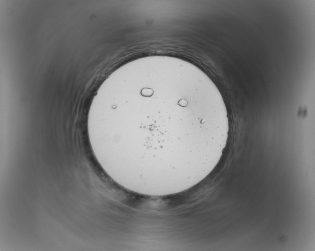 X0000111840217200909031711