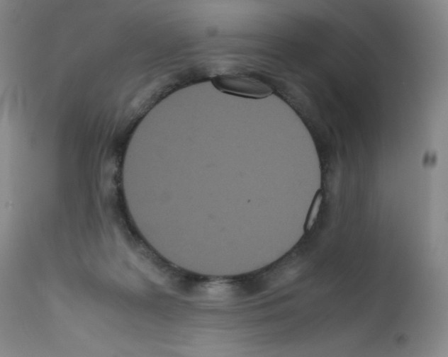 X0000111840219200909031711