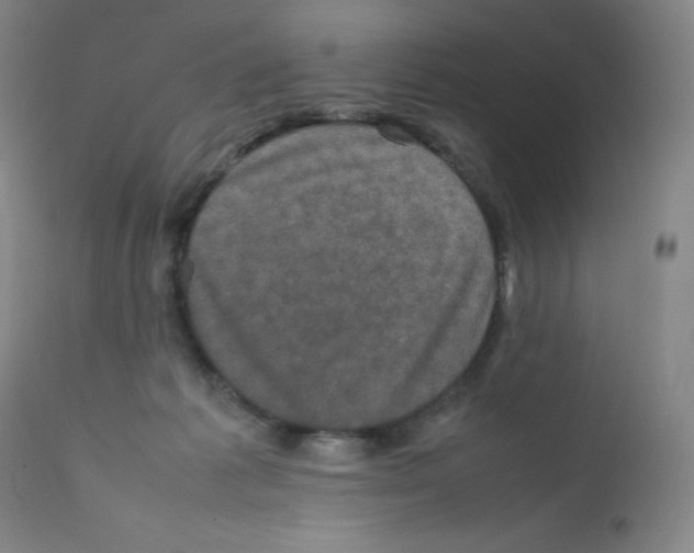 X0000111840221200909031711