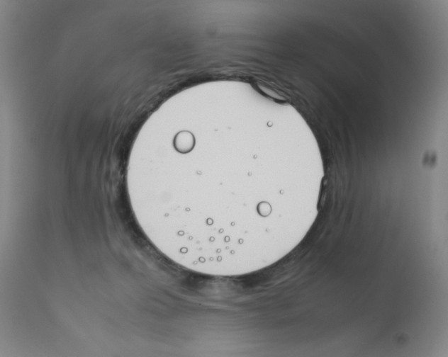 X0000111840223200909031711