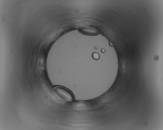 X0000111840224200909031711