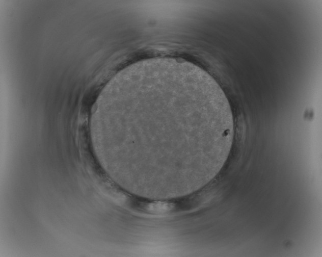 X0000111840225200909031711