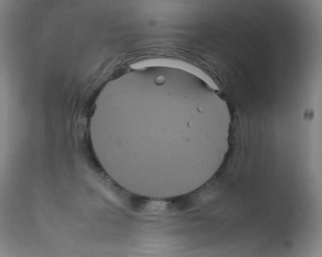 X0000111840227200909031711