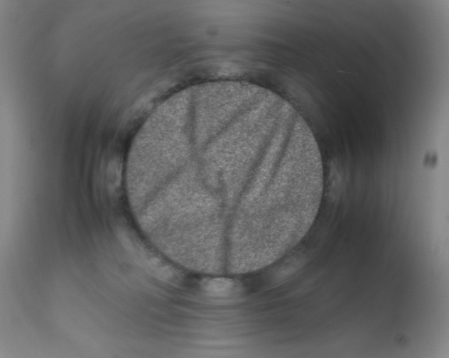 X0000111840230200909031711