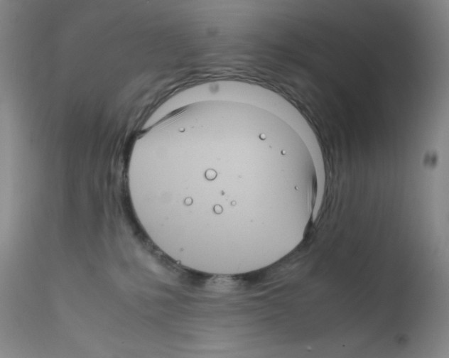 X0000111840231200909031711