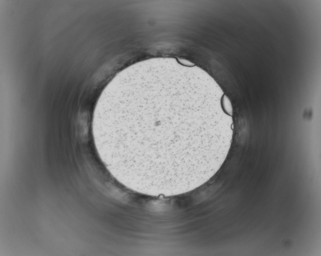 X0000111840232200909031711