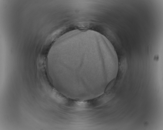 X0000111840233200909031711