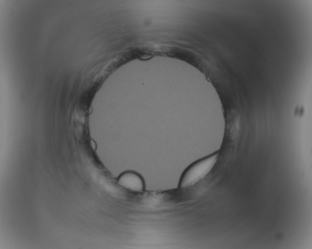 X0000111840235200909031711