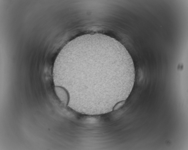 X0000111840236200909031711