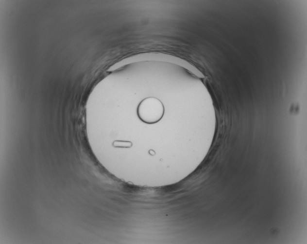 X0000111840237200909031711