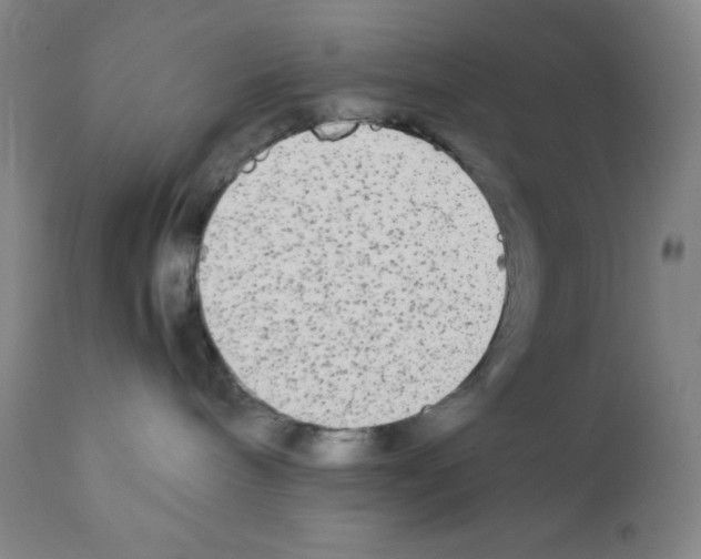 X0000111840240200909031711