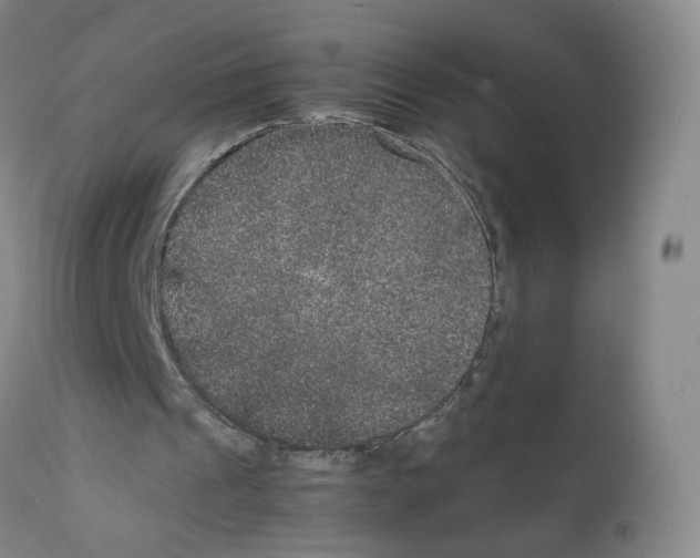 X0000111840241200909031710