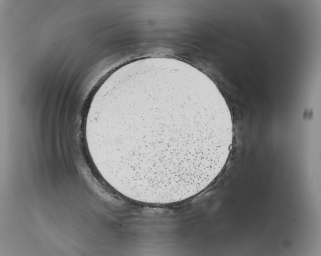 X0000111840242200909031711