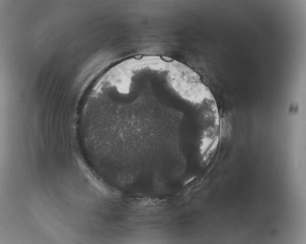 X0000111840243200909031711