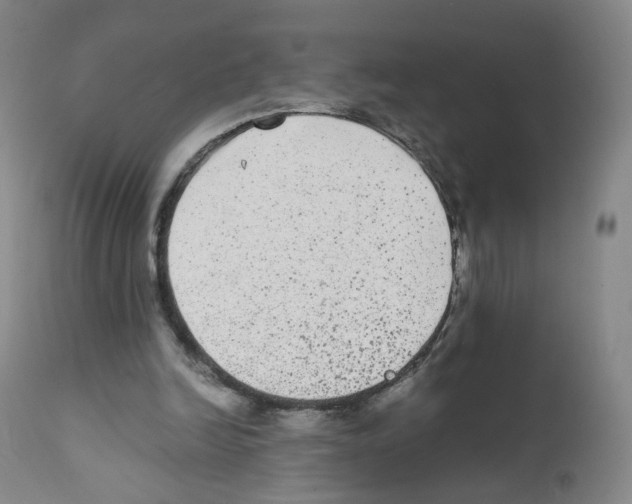 X0000111840246200909031711