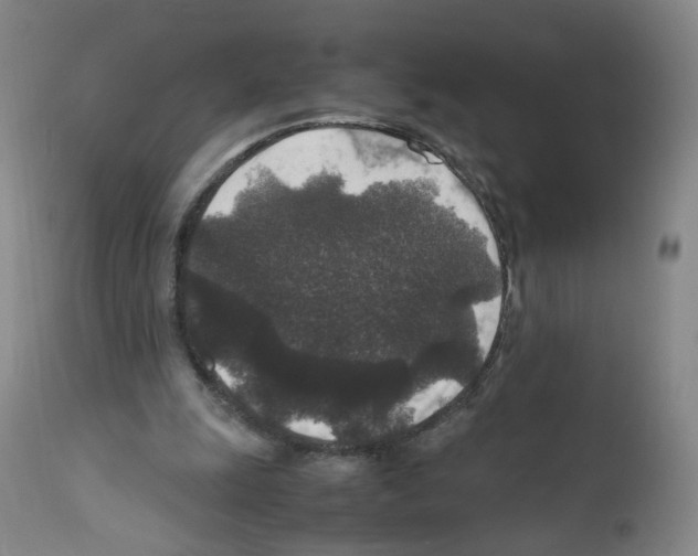 X0000111840247200909031711