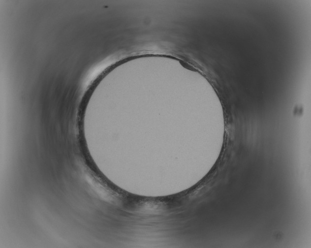 X0000111840248200909031711