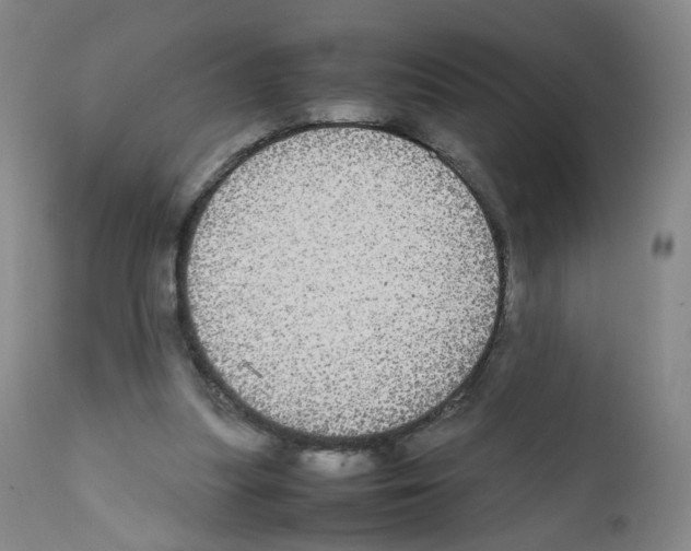 X0000111840251200909031711