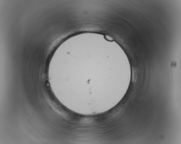 X0000111840252200909031711