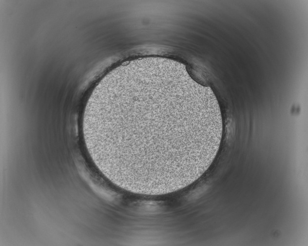 X0000111840254200909031711