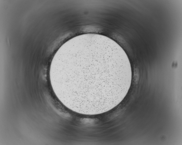 X0000111840255200909031711