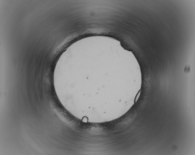 X0000111840256200909031711