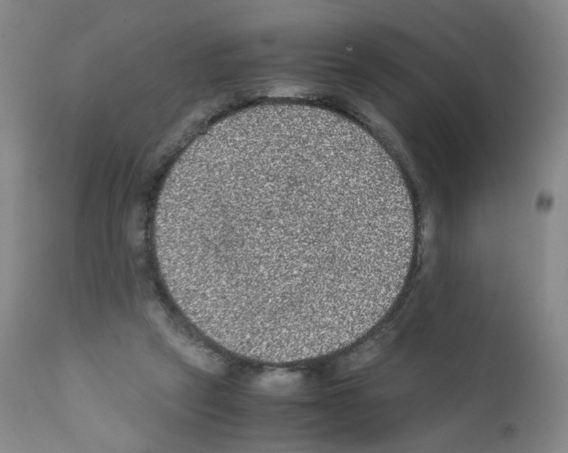 X0000111840257200909031711