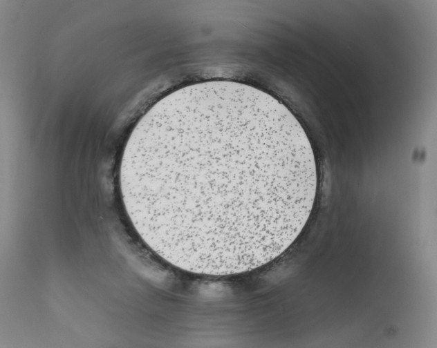 X0000111840258200909031711