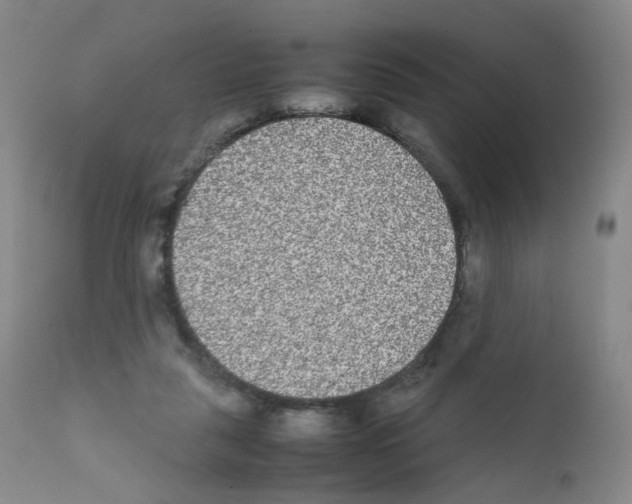 X0000111840259200909031711